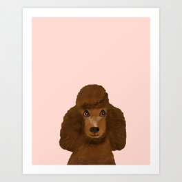 Toy Poodle chocolate brown poodle pet portrait custom dog art dog breeds by pet friendly Art Print