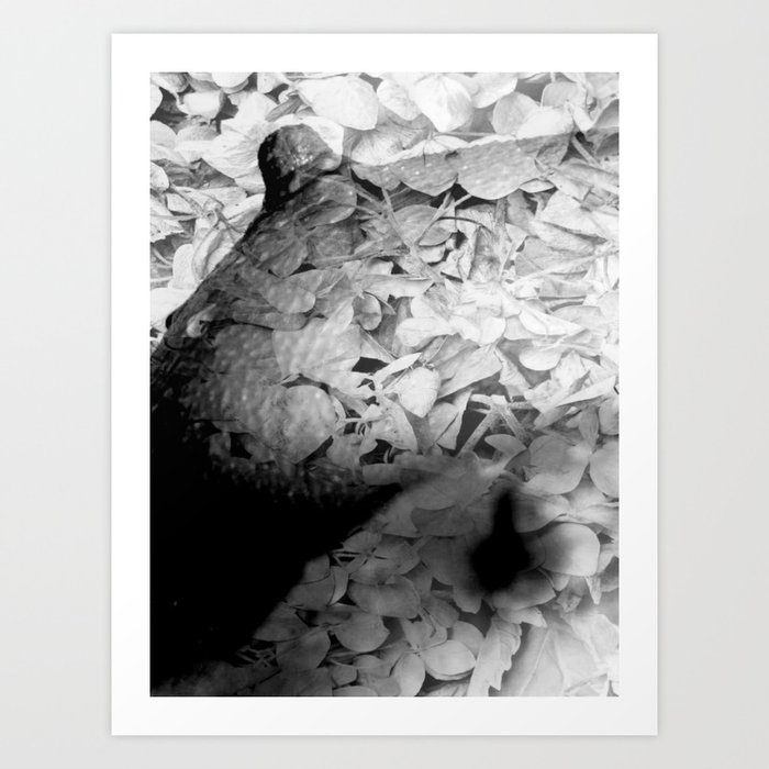 Floral Blossoms Black & White - Artistic Nude Photograph Art Print