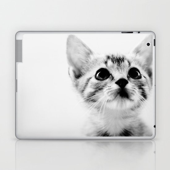 Sweet Kitten Laptop & iPad Skin