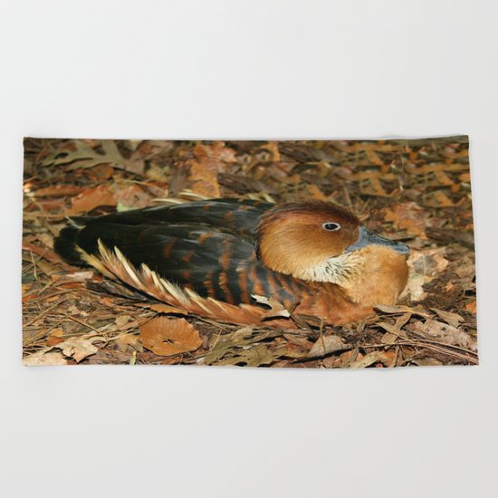 Fulvous Whistling Duck Beach Towel