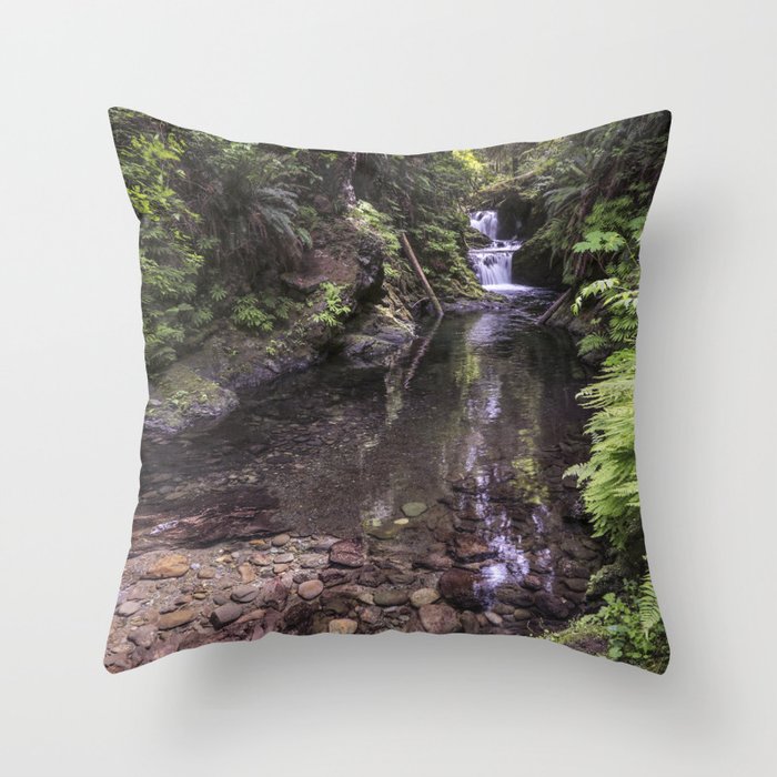 Quinault Rainforest Waterfalls 5-24-19 Throw Pillow