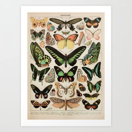 Papillon II Vintage French Butterfly Chart by Adolphe Millot Art Print