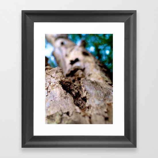 Tree Framed Art Print