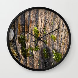 Macro photo of rotted wood Wall Clock