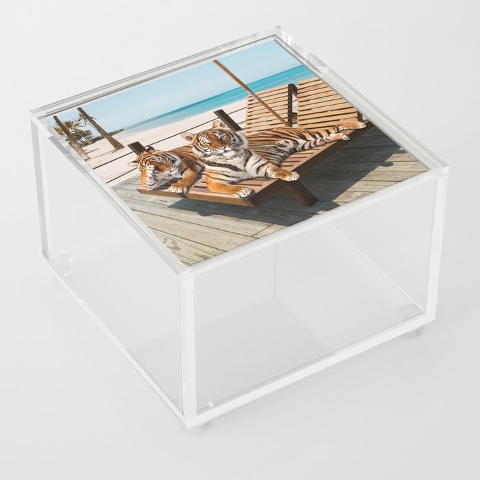 Tigers Tan Time Acrylic Box