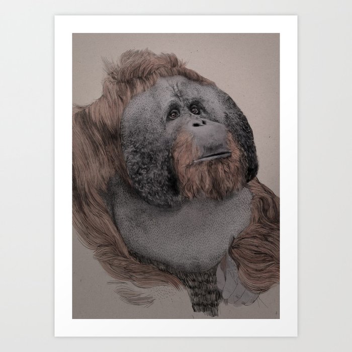 Orangutan! Art Print