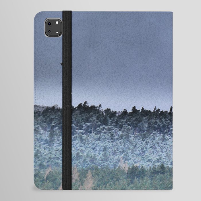 Flight of the Pine Forest in I Art and Afterglow iPad Folio Case