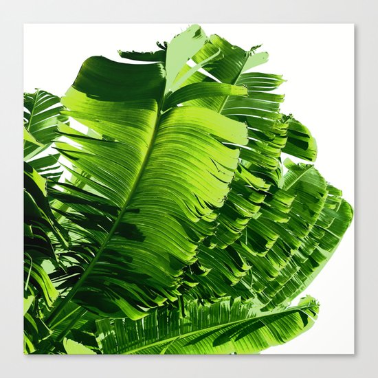 Hello Canvas Print
