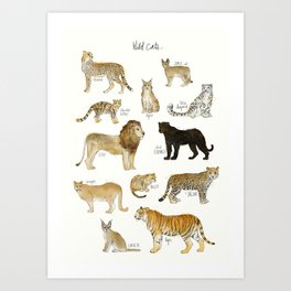 Wild Cats Art Print