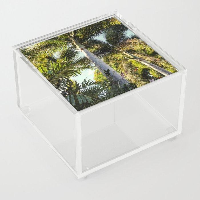 Palm Tree Garden Acrylic Box