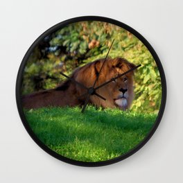 King of the Jungle - Lion deep in thought Wall Clock