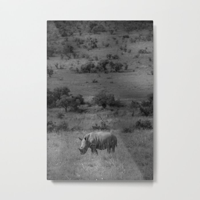 Juvenile White Rhino Metal Print