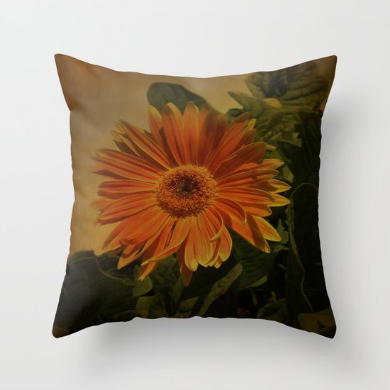 The Beauty Of Nature Throw Pillow