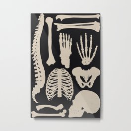 Osteology Metal Print