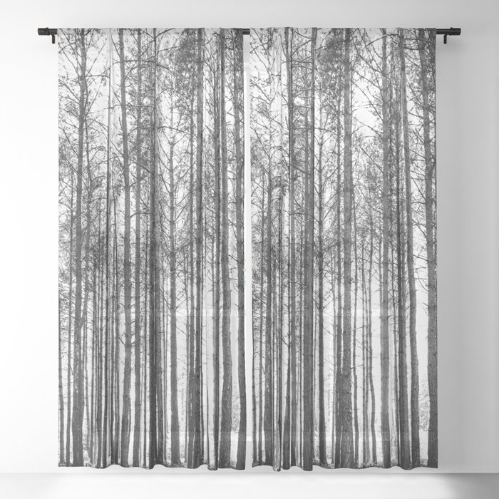 Sheer Curtain