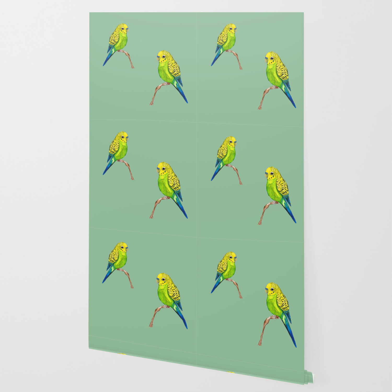 Cute Budgie Wallpaper By Wizzies Society6