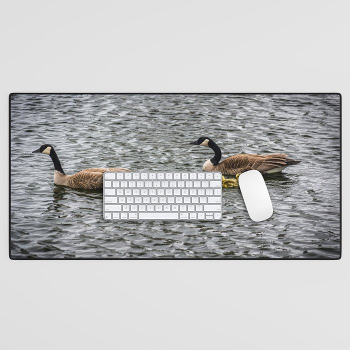 Canadian Geese and Goslings Cross Pond Lincoln Park Chicago Desk Mat