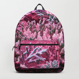 Coral Reef 6 Backpack