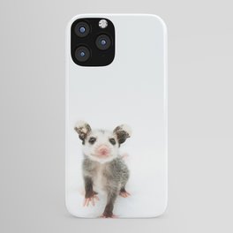 Baby Opossum Smile iPhone Case