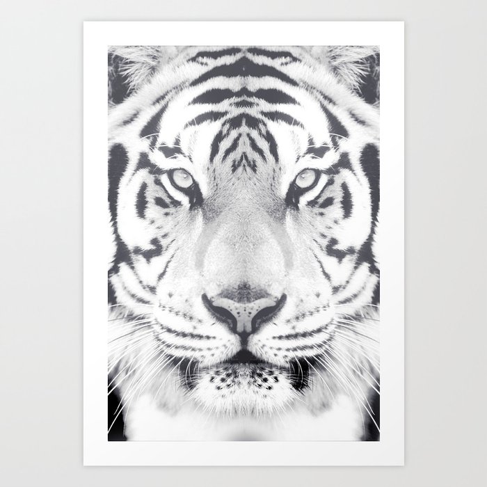BW Tiger Art Print