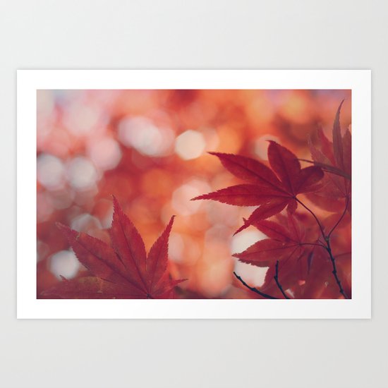 Maple Reds Art Print