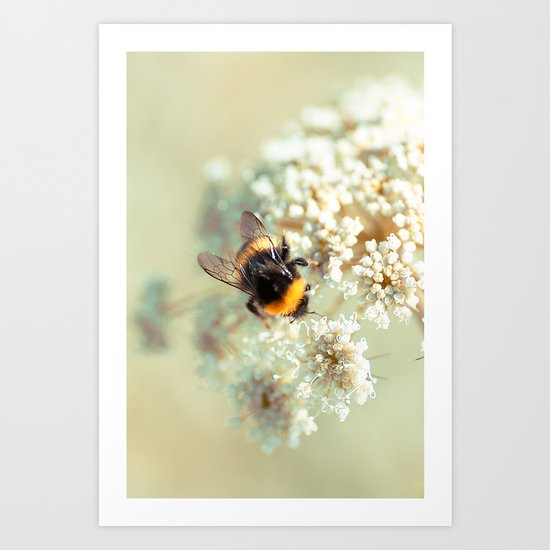 Bumblebee. Art Print