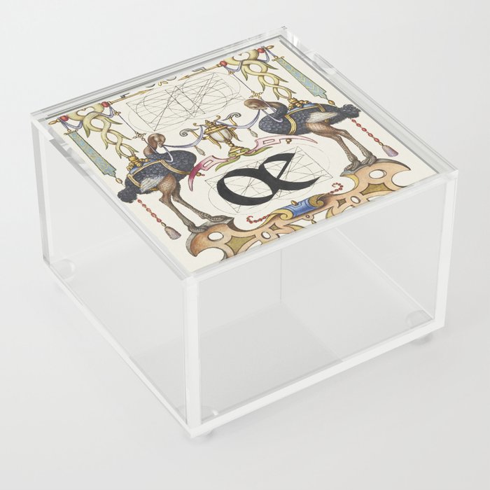 Calligraphic poster with ostriches Acrylic Box