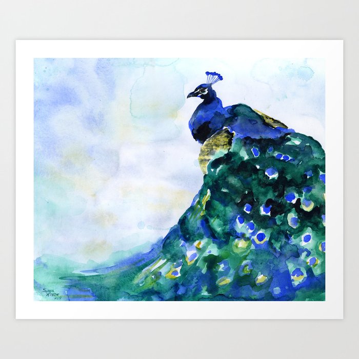 Peacock Art Print