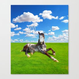 Moo I'm A Horse Canvas Print