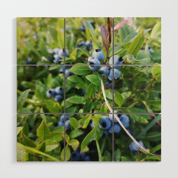 Blueberries Wood Wall Art