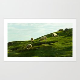 Sheep Art Print