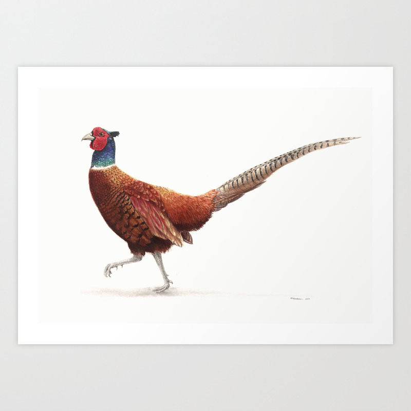 Ferdinand The Pheasant Art Print By Rachel Henderson Art Society6