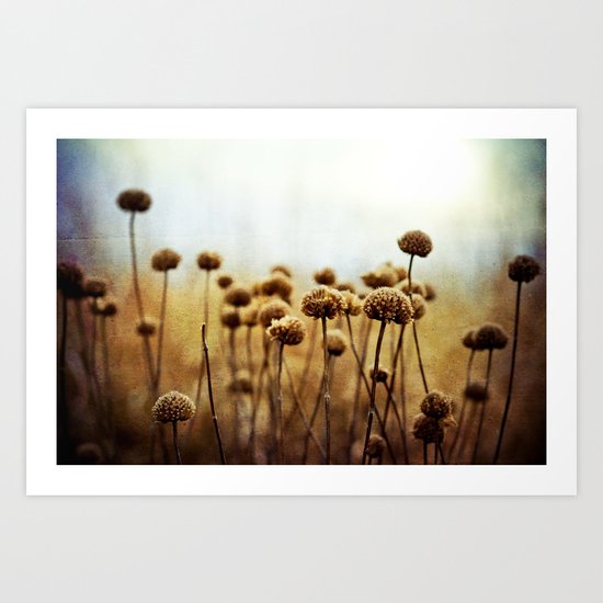 Where the Night Runs Into the Day Art Print
