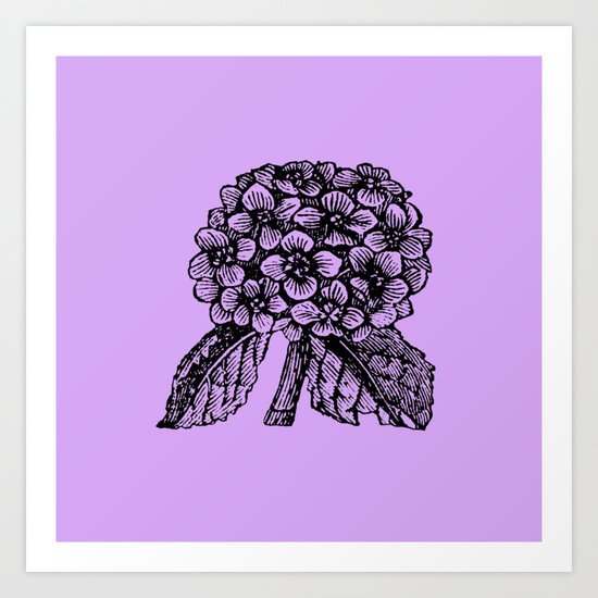 Lavender Hydrangea Art Print