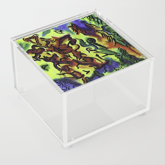 Wandering wonders Acrylic Box