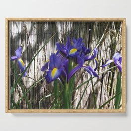 Enigmatic iris in shady environment Serving Tray