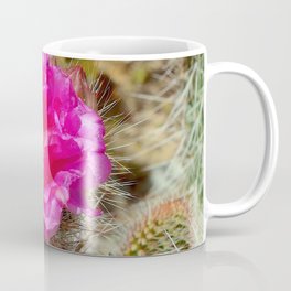 Hedgehog Cactus In Bloom Coffee Mug