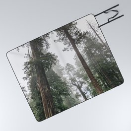 Like The Redwoods - 5/365 Picnic Blanket