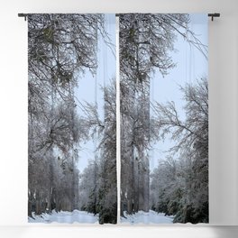 Winter Trail Blackout Curtain