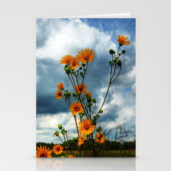 Prairie Stationery Cards