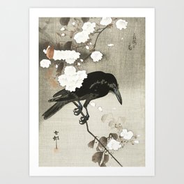 Raven on Cherry tree - Japanese vintage woodblock print Art Print