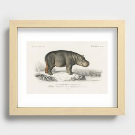 Hippopotamus (Hippopotame Amphibie) by Charles Dessalines D' Orbigny Recessed Framed Print