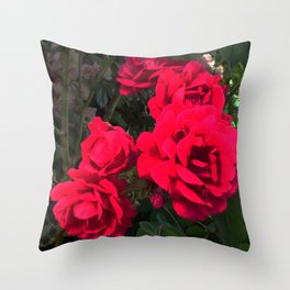 Red Roses for You Throw Pillow