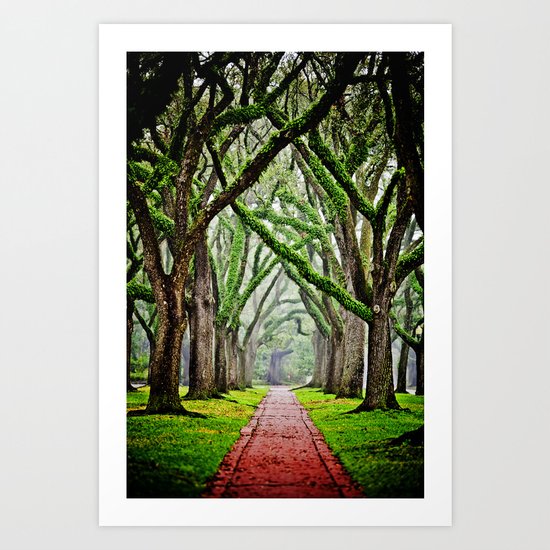 Tree-Lined Art Print