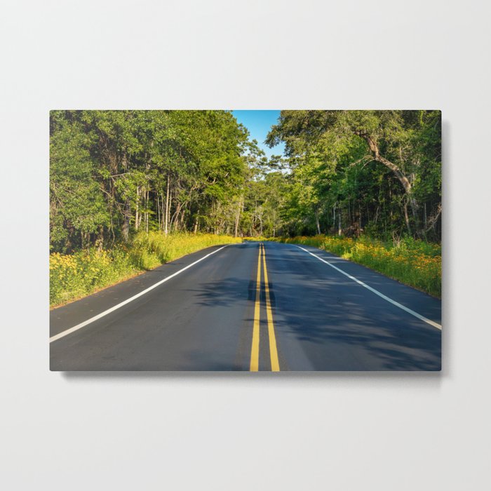 Wildflower Road Metal Print