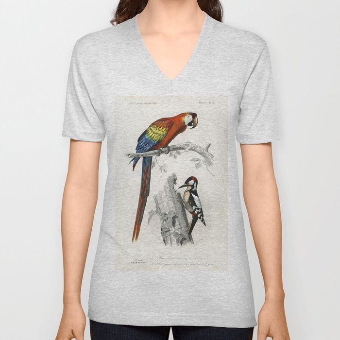 Different Types of Birds  V Neck T Shirt