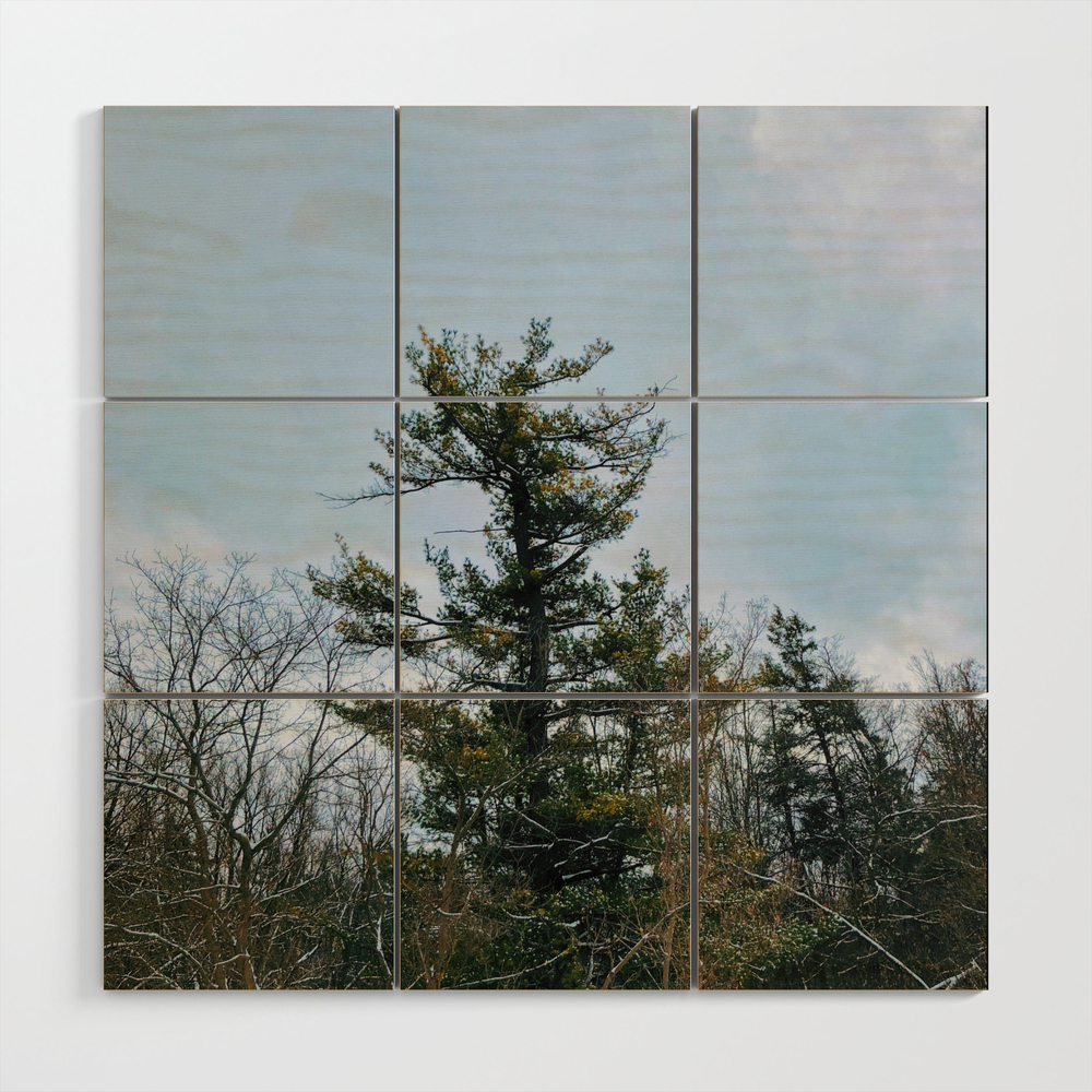 Lonely Tree In The Forest Wood Wall Art by alexlikeart