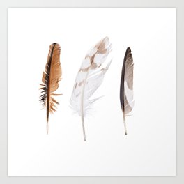 Trio of feathers Art Print