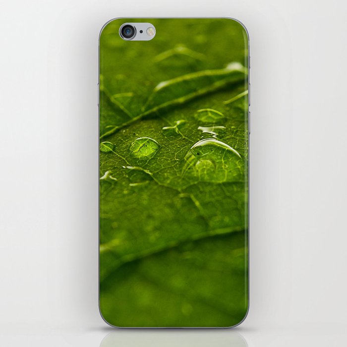 Green Bubbles 2 iPhone Skin
