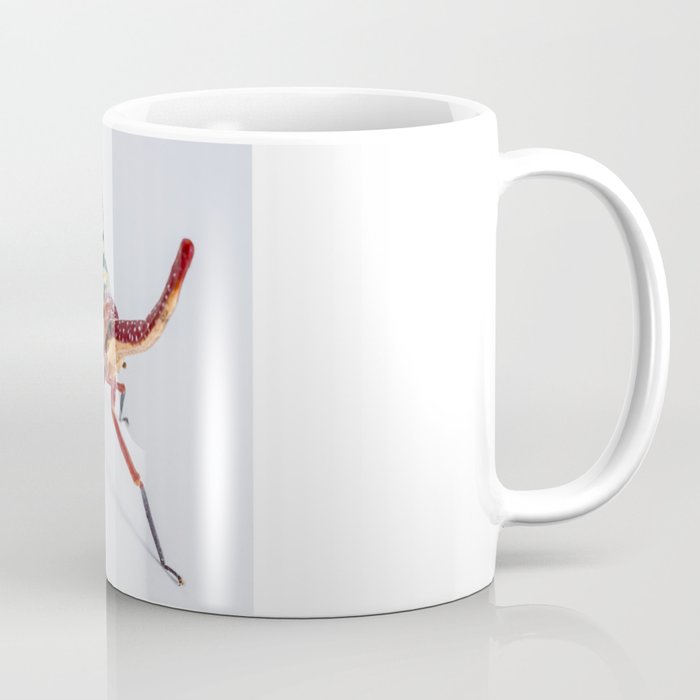 Long Nosed Cicada. Coffee Mug